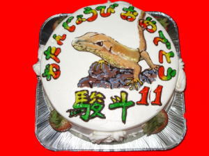 はやとくん　おめでとう！