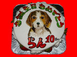 ランちゃん　おめでとう！