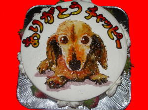 チャッピー　ありがとう！