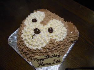 ＨＡＮＡちゃん　おめでとう！