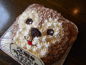 ＣＯＣＯ　開店２周年記念　おめでとう！